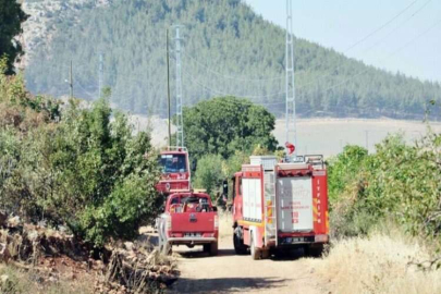 İslahiye'de orman yangını