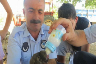 Yavru köpeği biberonla beslediler
