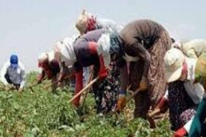 Kayıt dışı en çok tarımda