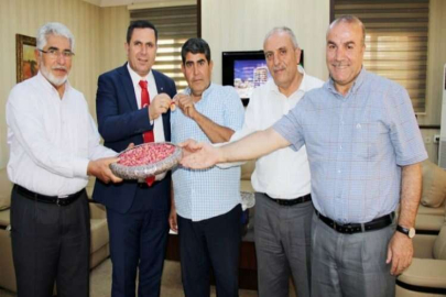 YILIN İLK ANTEPFISTIĞINA ALTIN ÖDÜLÜ