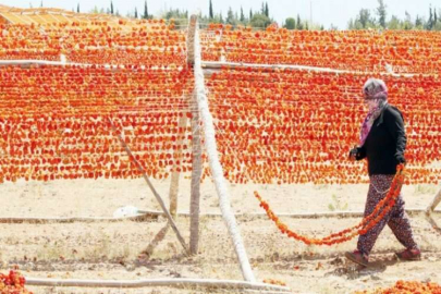 Sıcak hava en çok onların yüzünü güldürüyor