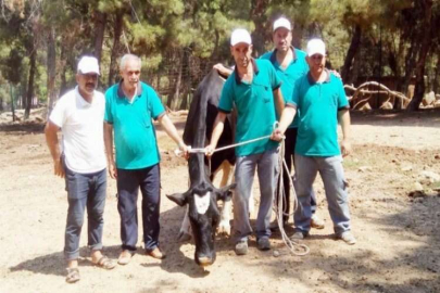 Kurban yakalama timi kuruldu