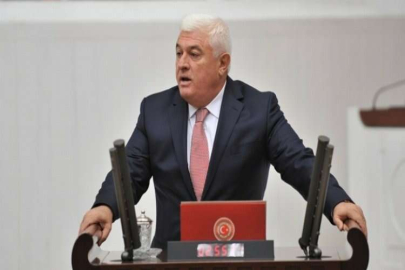 CHP'li Ekici'den hayvan hakları için kanun teklifi