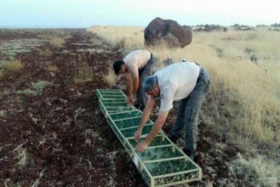 Suriye'ye kaçırılırken ele geçirildi