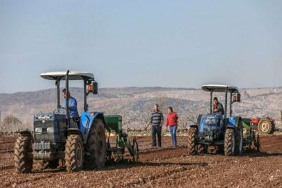 1200 dekardan 240 ton mahsul bekleniyor