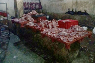 Oğuzeli zabıtasından 'Kaçak kesim' operasyonu