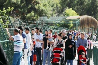 Gaziantep Hayvanat Bahçesi rekorları alt üst ediyor