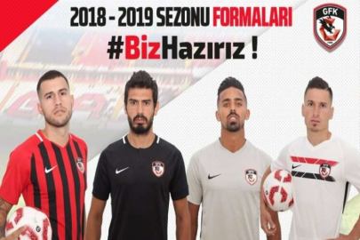 Formalar tanıtıldı