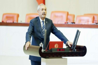 Kaplan, silahlanmaya dikkat çekti