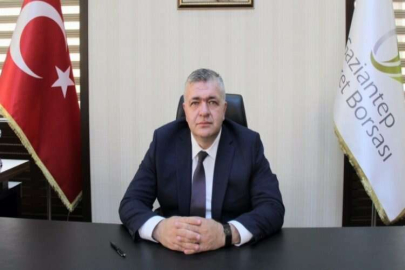 GAZİANTEP'TE ZEYTİNDE TAHMİNİ REKOLTE 70 BİN TON