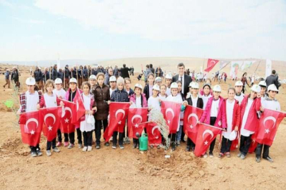Şehitkamil'e on binlerce fidan dikildi