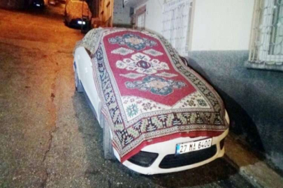 Doluya karşı halı ve kilimli koruma