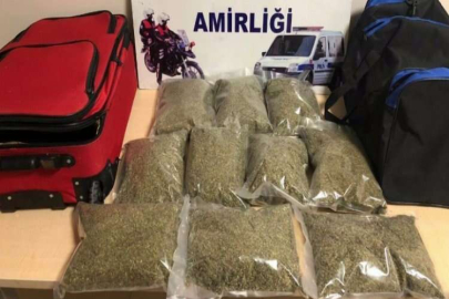 5 kilo bonzai ele geçirildi