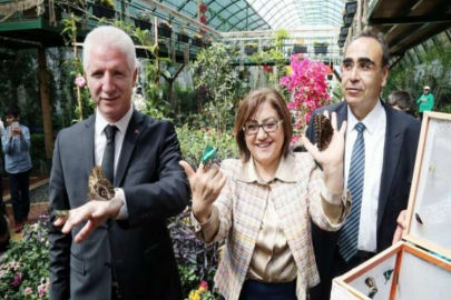 TROPİK KELEBEK BAHÇESİ AÇILDI
