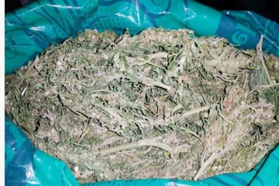 Uyuşturucu operasyonu: 2 gözaltı