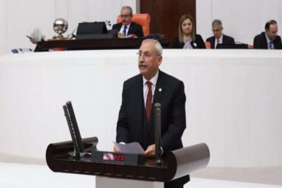 Kaplan, Bebek ölümlerini meclise taşıdı