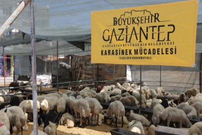 Kurban kesim ve satış yerleri mercek altında