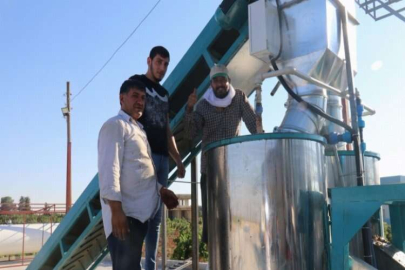 Antep fıstığı teknolojiyle kurutulacak