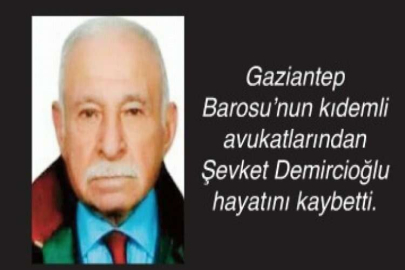 Bir çınar daha devrildi
