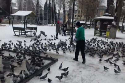 Büyükşehir, sokak hayvanlarını unutmadı