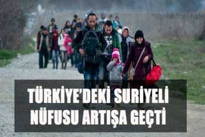 Suriyeli nüfus artıyor