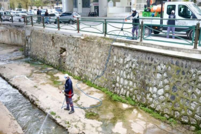Büyükşehir’den sinek ve haşerelere karşı ilaçlama