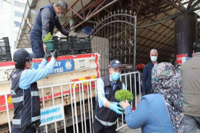 ŞAHİNBEY BELEDİYESİ VATANDAŞLARA 30.000 REYHAN DAĞITTI