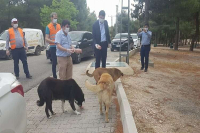 CAHİDE’nin bayram beslemesine Başkan ve Kaymakam’dan destek