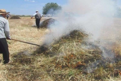 Firik hasadı başladı