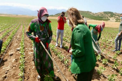 BAŞKAN ŞAHİN ÇİFTÇİNİN YANINDA