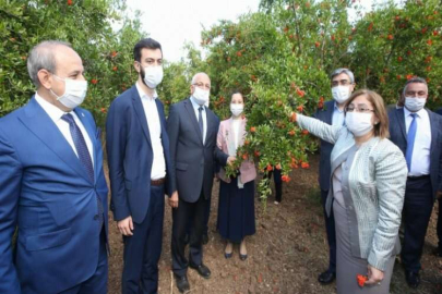 BAŞKAN FATMA ŞAHİN’DEN OĞUZELİ NAR BAHÇELERİNE ZİYARET