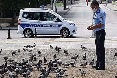Sokak hayvanları besleniyor