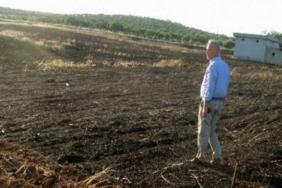 45 dönüm arpa kül oldu