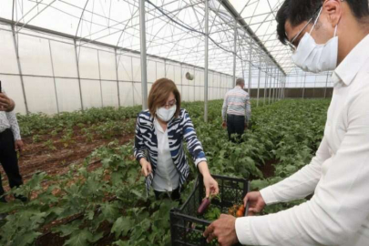 TARIMSAL EĞİTİM VE YÖRESEL ÜRÜNLER İŞLEME MERKEZİ İLK ÜRÜNÜNÜ VERDİ