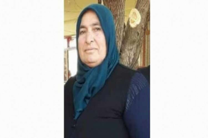 Kamyonetin çarptığı kadın hayatını kaybetti