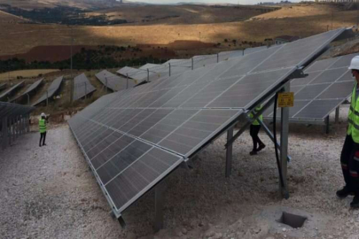BAĞLARBAŞI GÜNEŞ ENERJİ SANTRALİ’NDE 2’NCİ ETAPLA BİRLİKTE 186 BİN AĞAÇ KURTARILACAK
