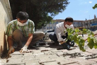 Fedakar öğretmenler öğrencileri için kolları sıvadı