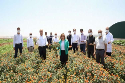 BÜYÜKŞEHİR’DEN ASPİR ÜRETİMİ İÇİN ÖNEMLİ ADIM