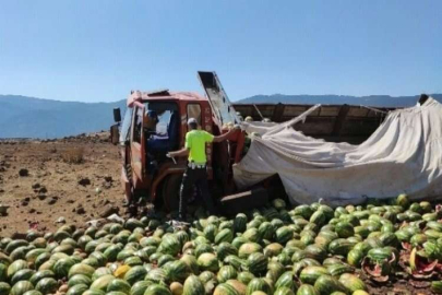 Karpuz yüklü kamyon tarlaya uçtu: 1 yaralı