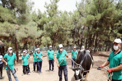 Kurbanlıklar kaçamayacak