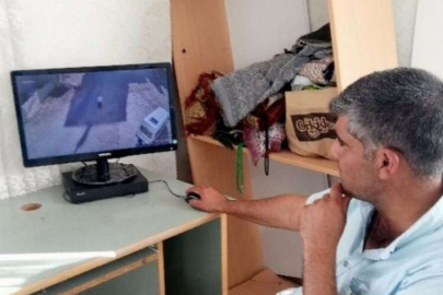 Fıstığı ve hayvan hırsızlığına kameralı önlem