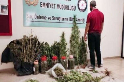 12 kilo esrar ele geçirildi