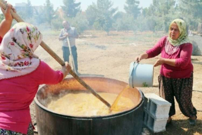 Üzümün bağlardan damlara lezzetli yolculuğu