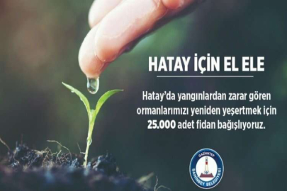 ŞAHİNBEY BELEDİYESİ'NDEN HATAY'A 25.000 FİDAN