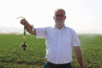 Tüketiciye sarımsak müjdesi