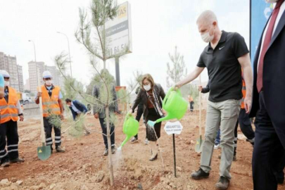 Büyükşehir kent merkezini ağaçlarla donatıyor