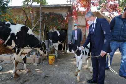 Şahinbey Belediyesi hayvan yetiştiricilerini destekliyor
