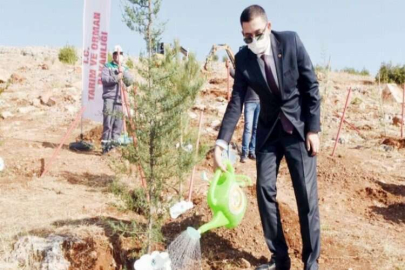 GSO'NUN YILBAŞI HEDİYESİ GAGİAD ORMANINA FİDAN BAĞIŞI