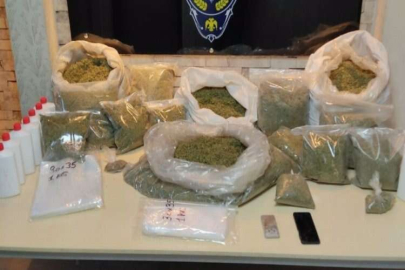 25 kilo bonzai ele geçirildi