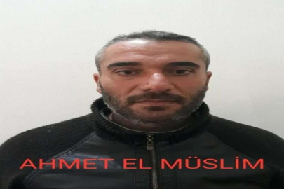 Elbab’ta 1 terörist yakalandı